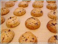 �T�u���V���R��