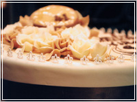 �A���g����