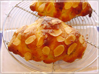 �N�����b�T���_�}���h